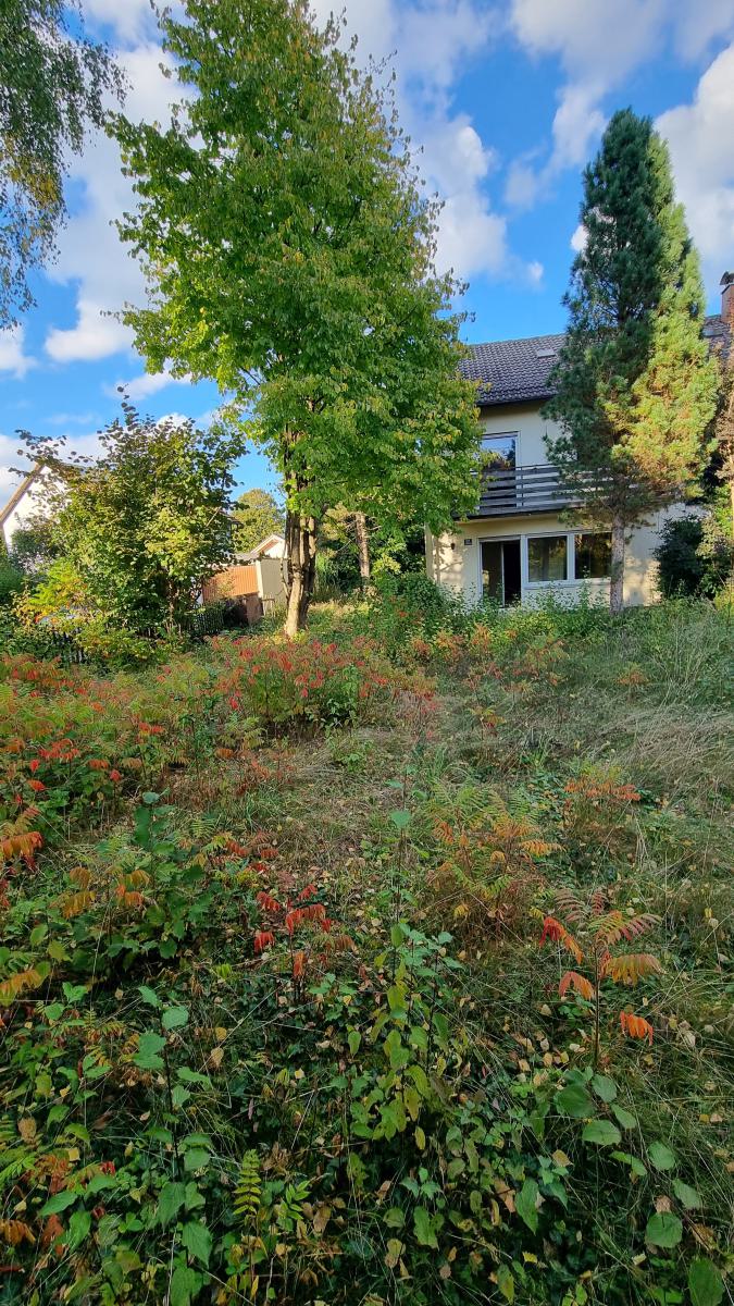 Garten mit Südansicht