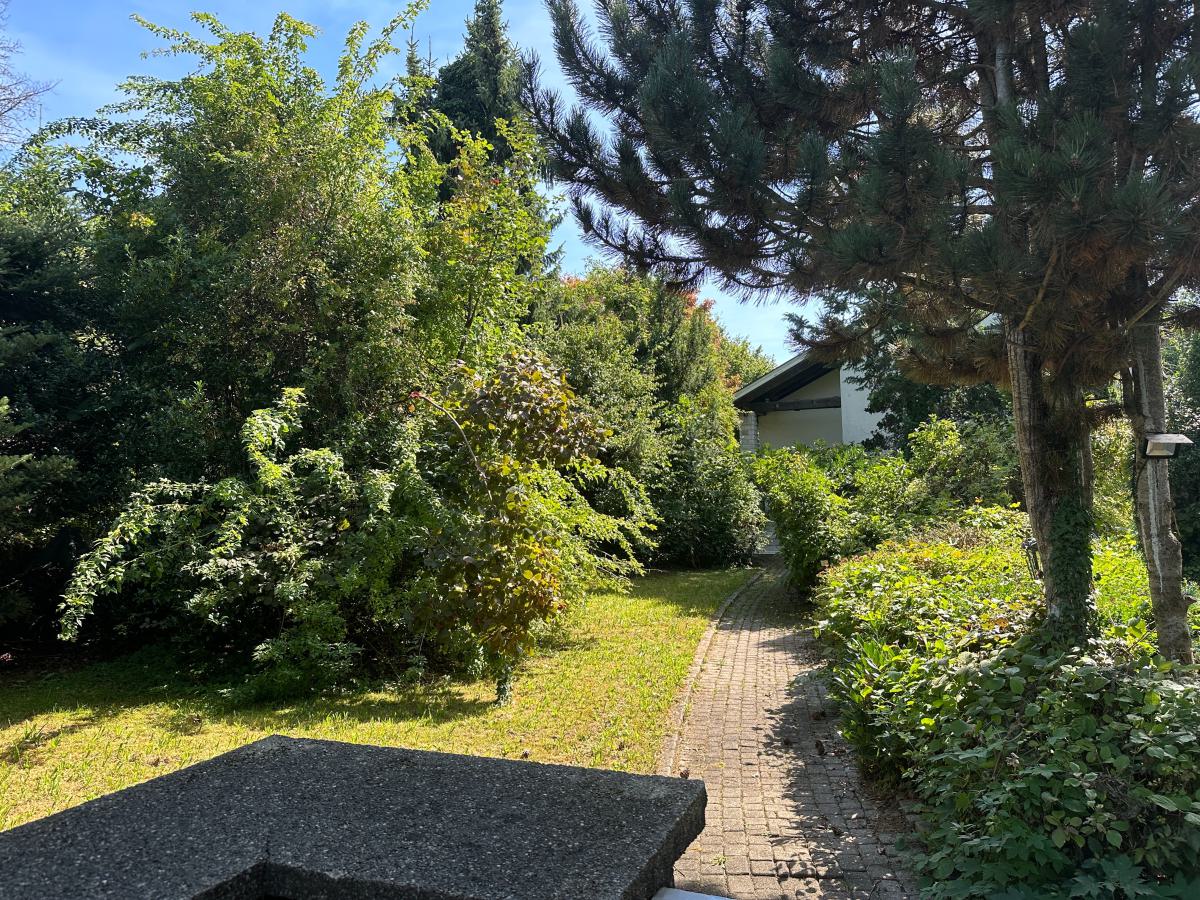 DAS Baugrundstück für IHR großzügiges Einfamilienhaus